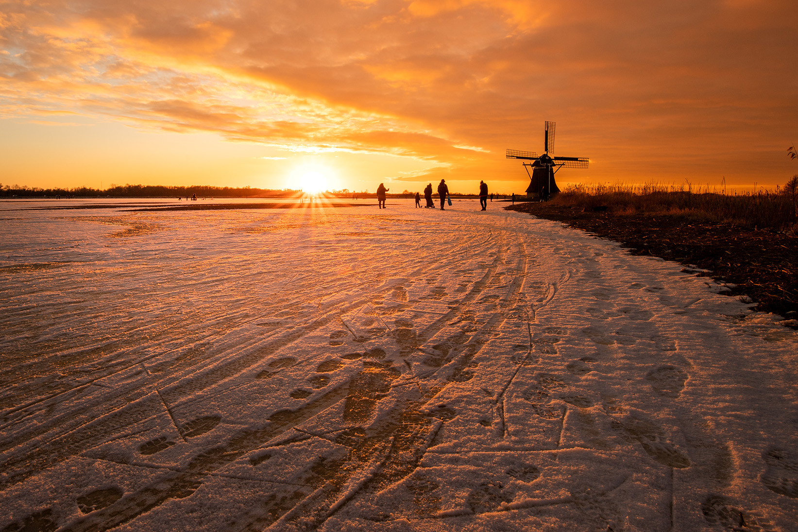 AronWeidenaar_0831